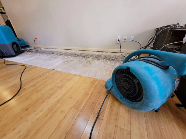 Reliable Basement Flood Cleanup contractor in New Prague, MN by Hirex Water Damage