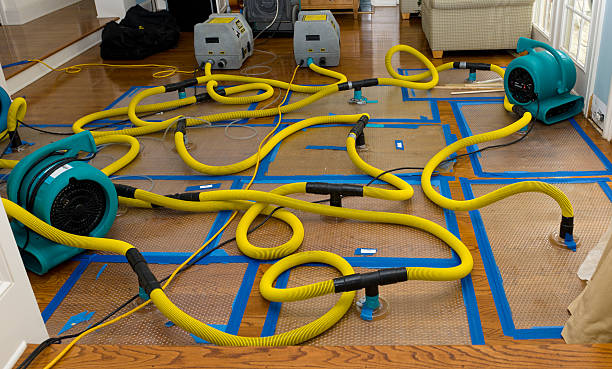 Professional Basement Flood Cleanup technician working in New Prague, MN